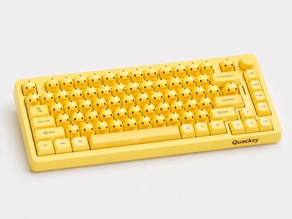 Quacksy™ DuckBoard