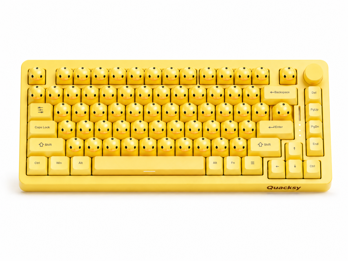 Quacksy™ DuckBoard