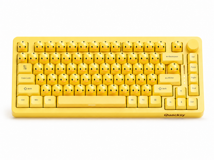 Quacksy™ DuckBoard