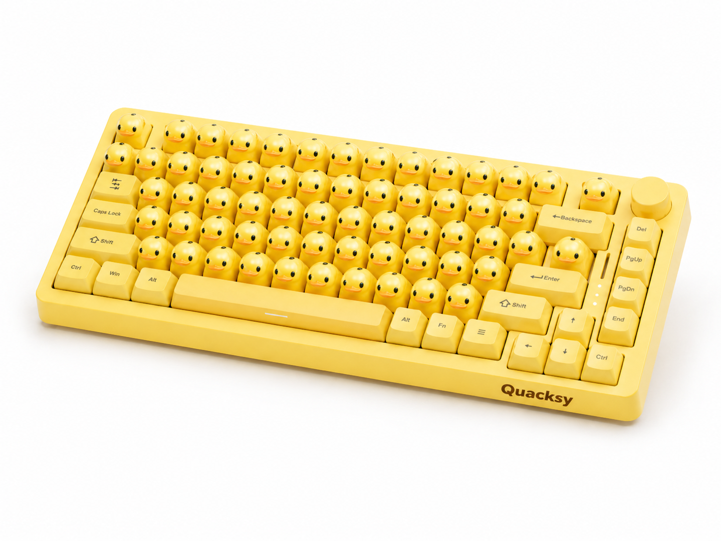 Quacksy™ DuckBoard