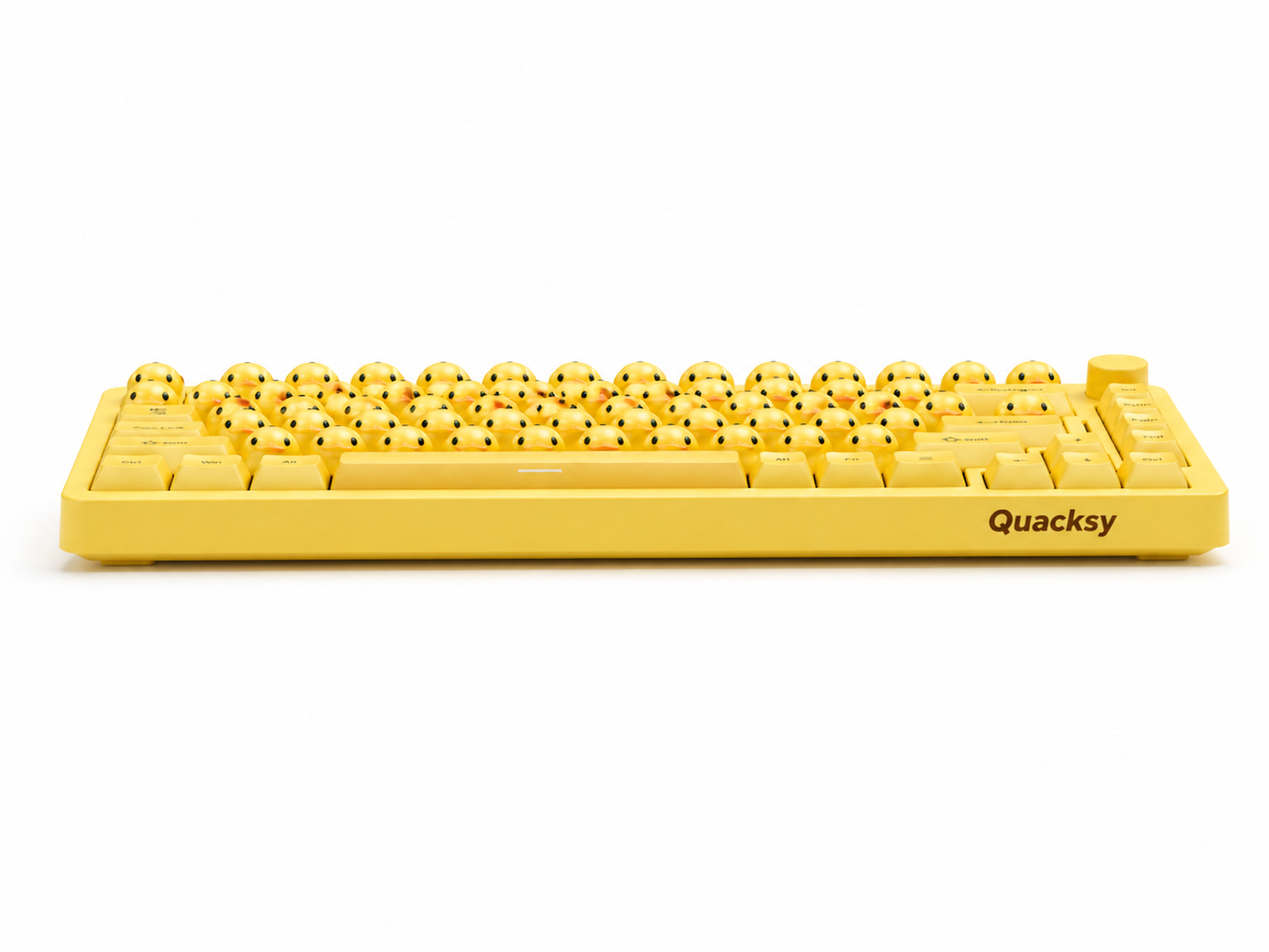 Quacksy™ DuckBoard
