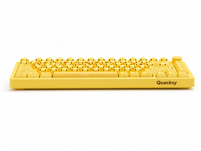 Quacksy™ DuckBoard